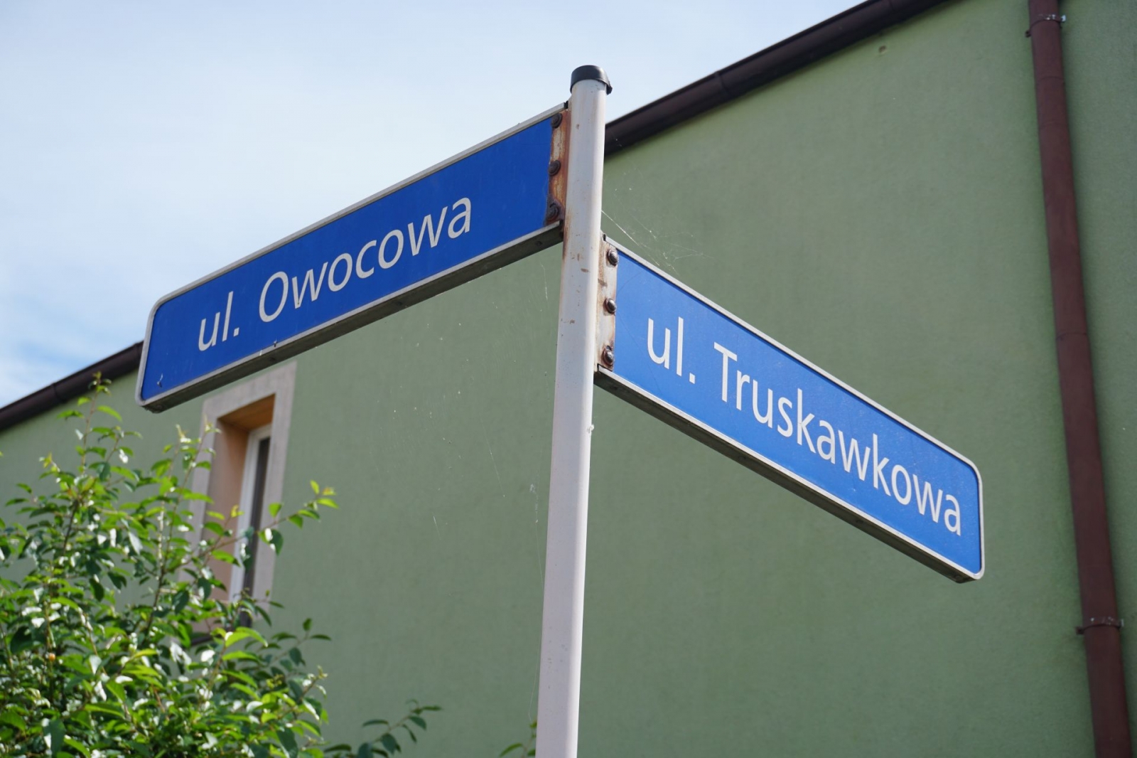 {{ item.nazwa }}