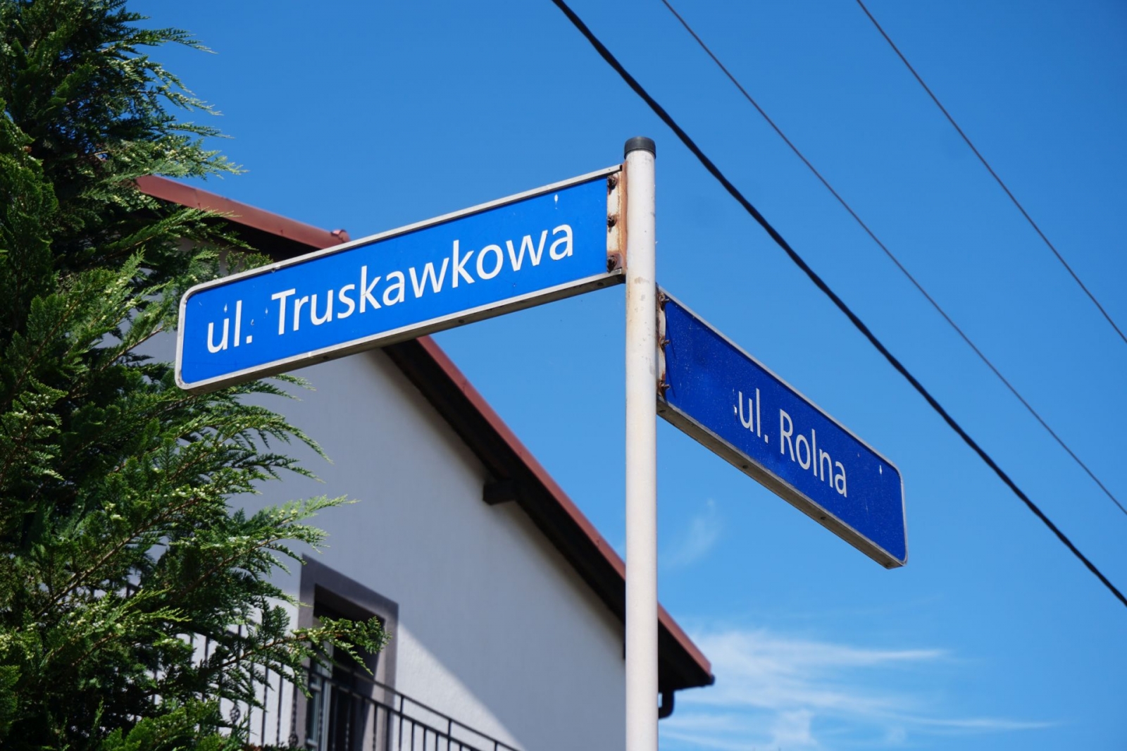 {{ item.nazwa }}