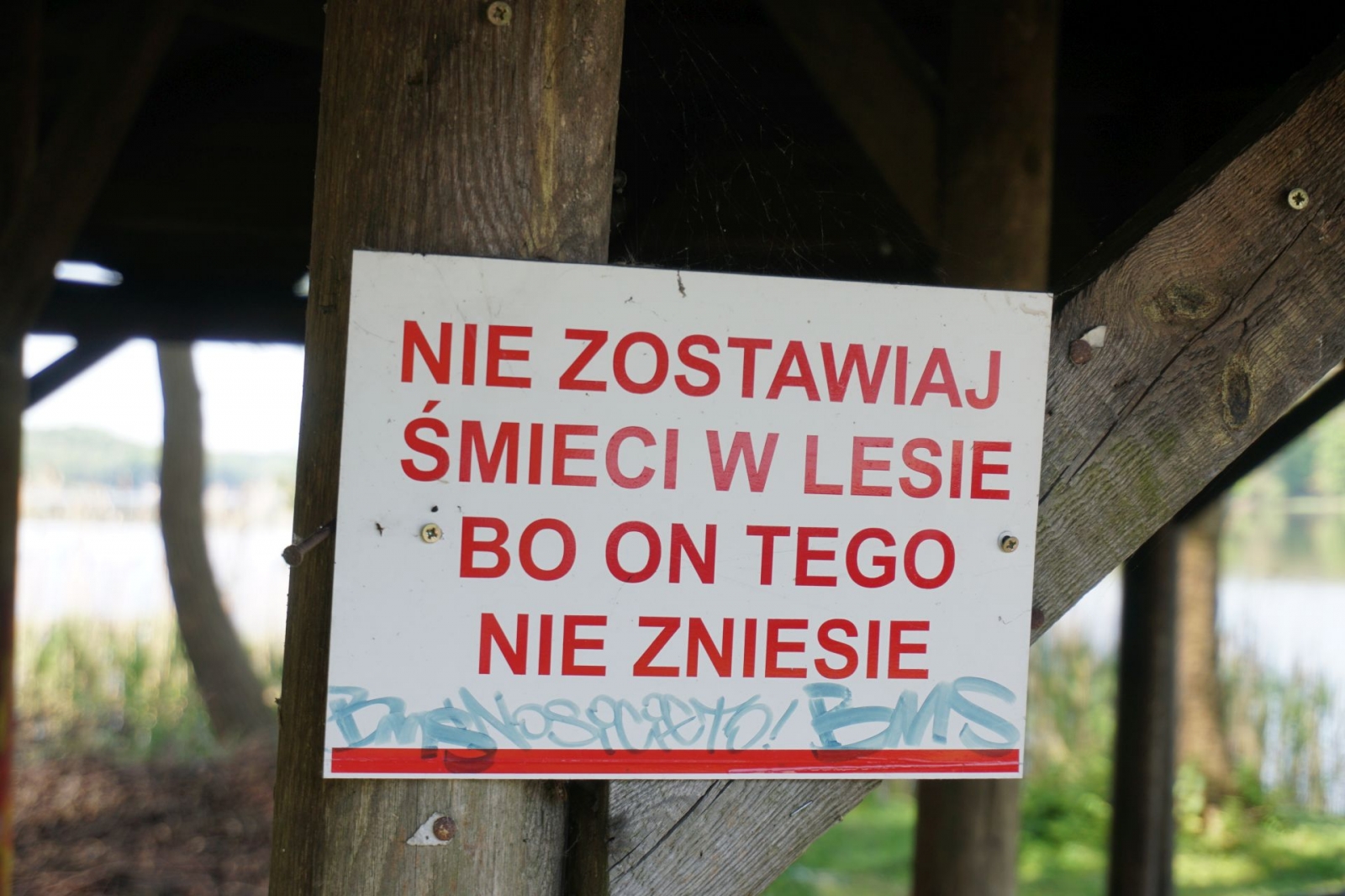 {{ item.nazwa }}